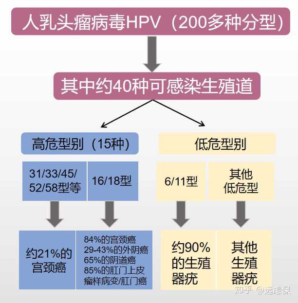 人乳头瘤病毒(hpv)疫苗有必要打吗?