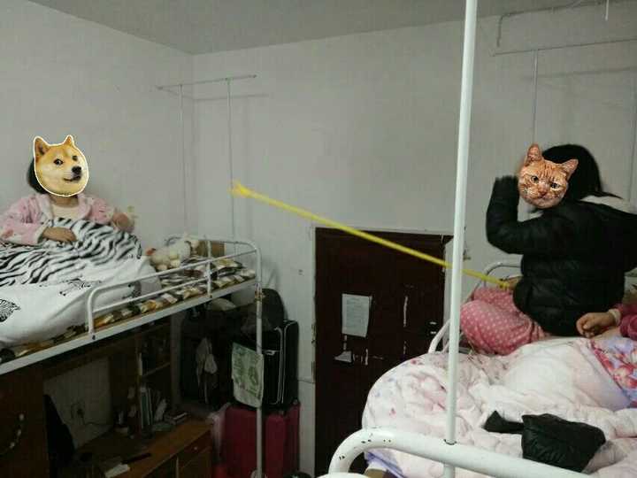 室友哪些行为让全宿舍人笑到爆炸?