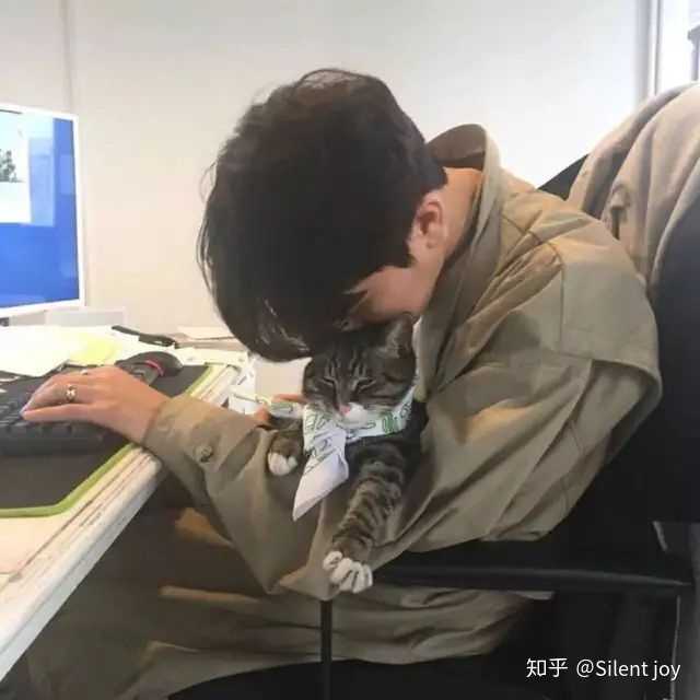 有什么适合宝藏男孩的好看头像?