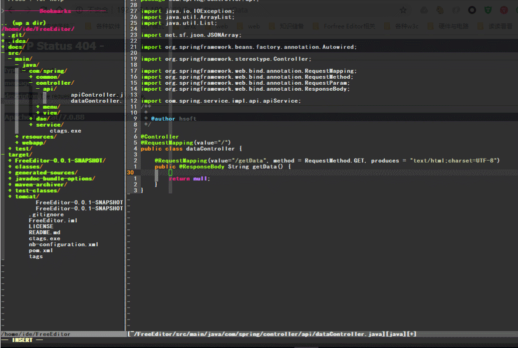 哪种ide能同时写java和前端代码?