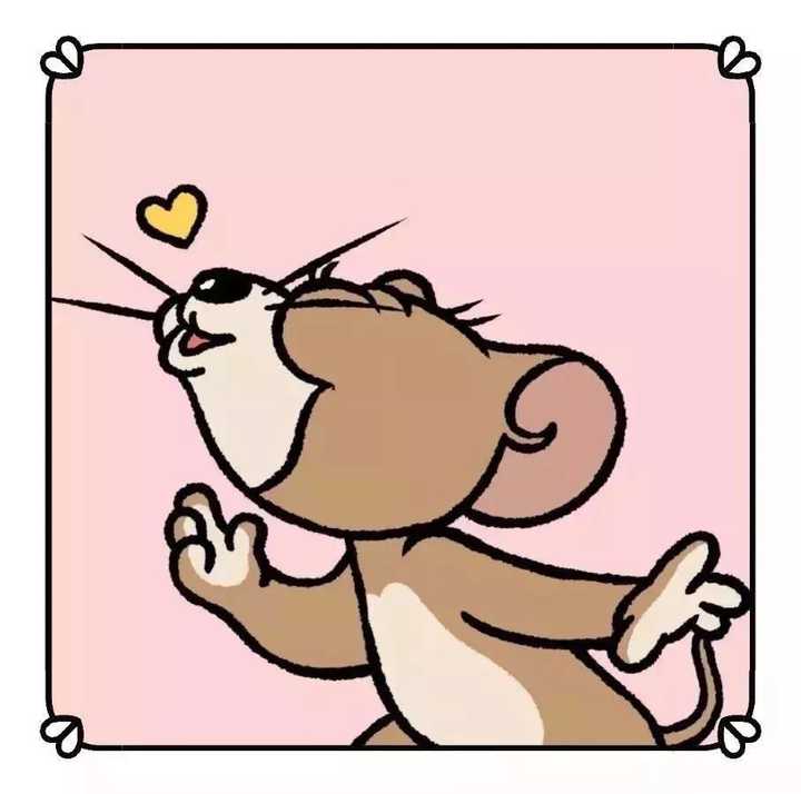 不过我是真的不知道各位小可爱们说的猫和老鼠是什么.