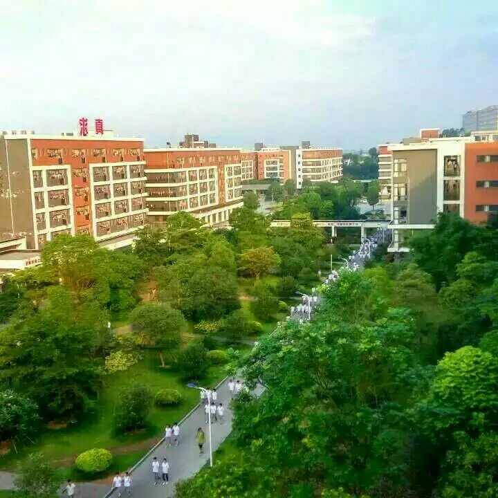 在漳州正兴学校读书是什么样的体验?