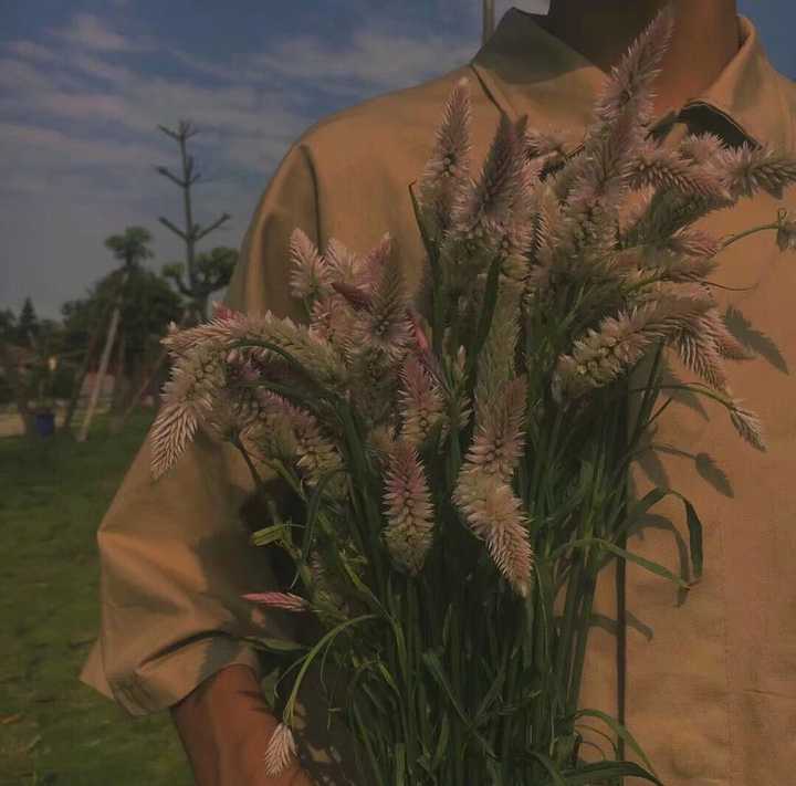 有一张图 是一个男生拿着手捧花 只有手臂和花在照片里 有人知道吗?