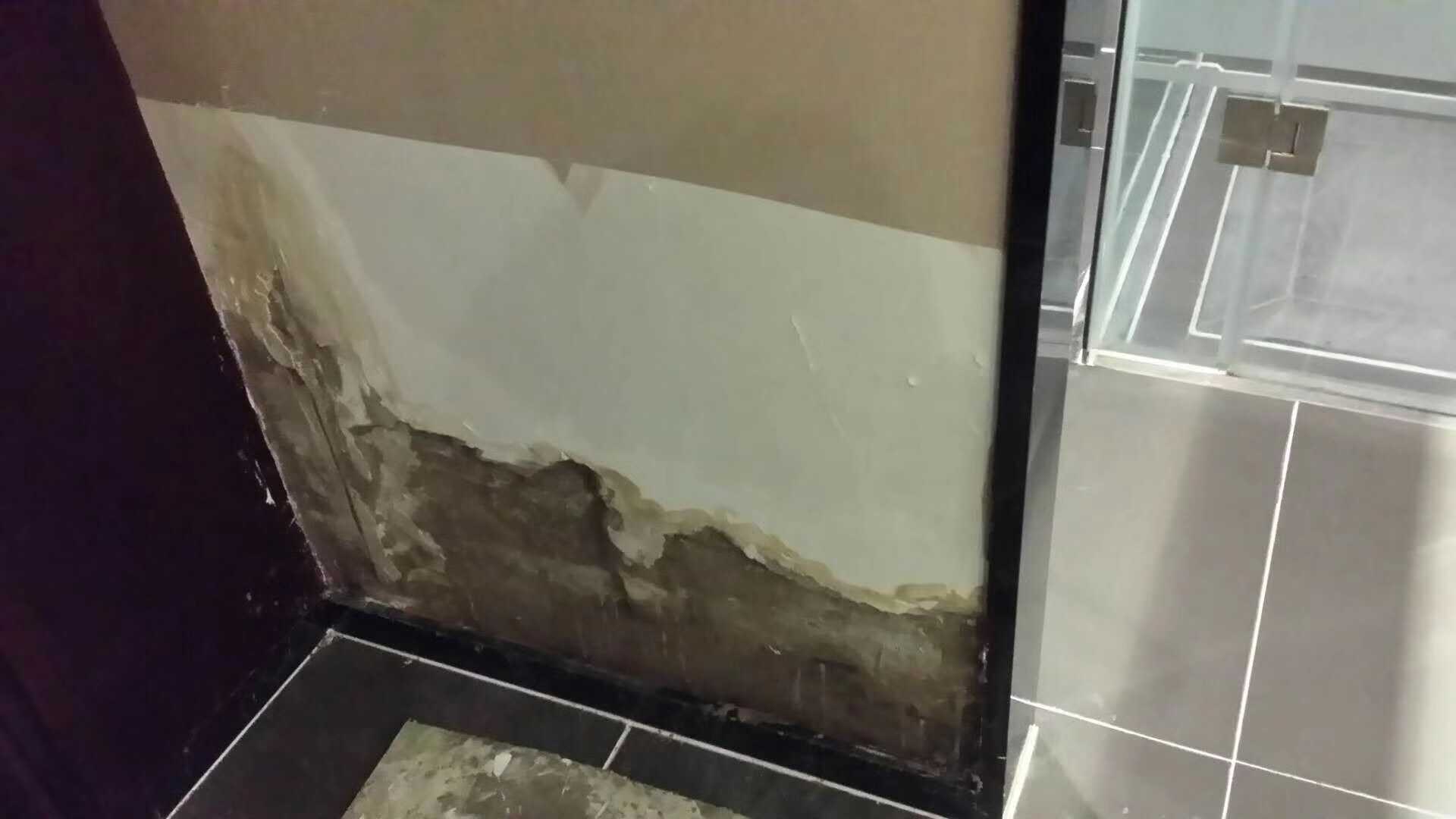 卫生间装修防水没做好,贴壁纸的墙面发霉… - 知乎