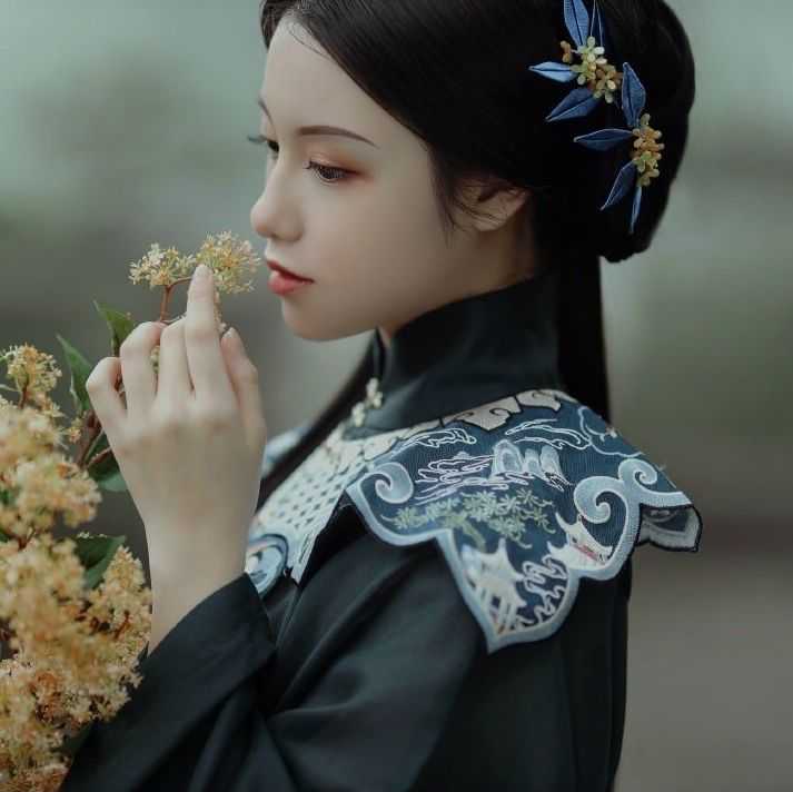 有哪些一眼惊鸿的古风图片?