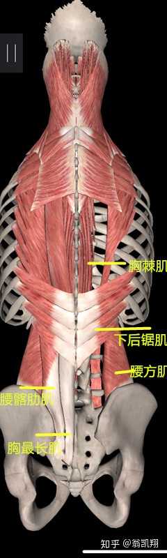 腰肌劳损真的能根治吗?