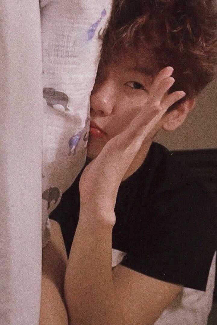 有没有适合当头像的伯贤图片?