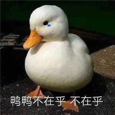 请问可爱的网友们有没有那些很委屈的表情包,哭的也行,流泪的也阔以