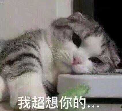 有哪些可以哄男朋友开心的表情包?