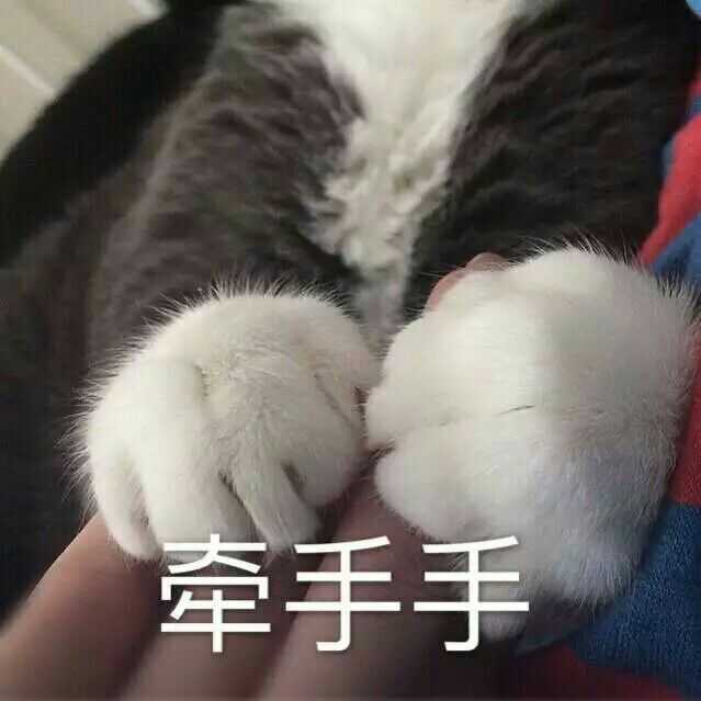 有什么适用于和老公/男票撒娇的可爱表情包?