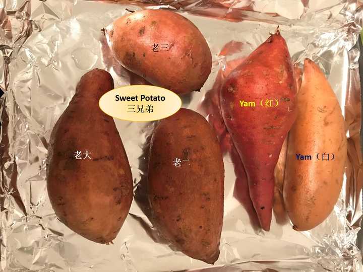 在美国留学想吃烤番薯了该买yam还是sweet potato?