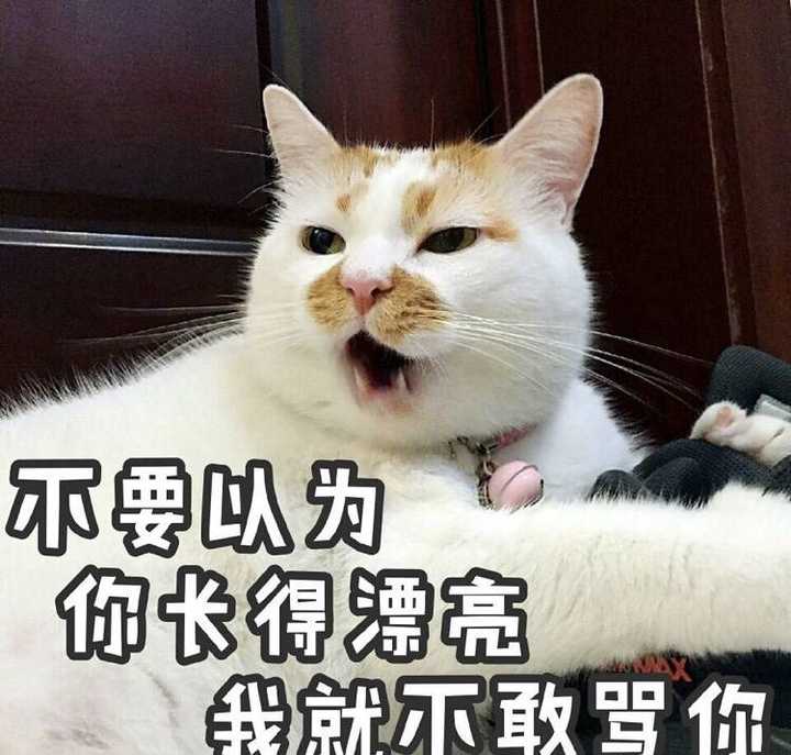 就跟上面的表情包一样吧,单身好,想跟谁好跟谁好哼.