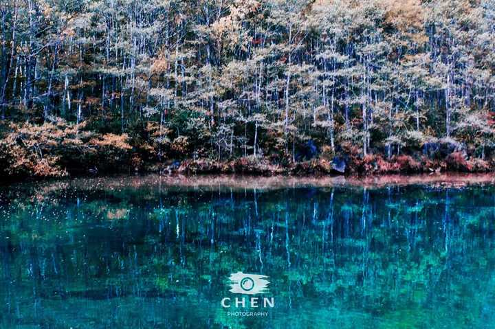 这种水平参加学校的摄影比赛可以吗?
