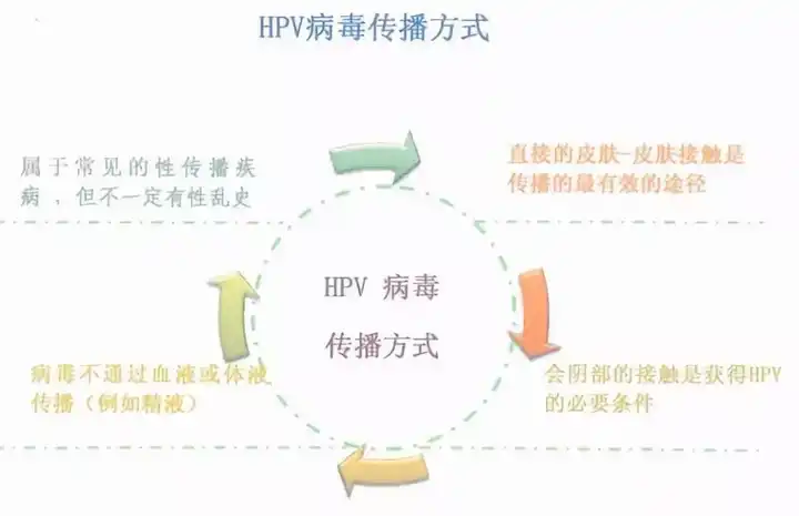 hpv是通过哪些方式感染的?