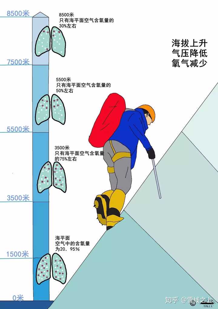 客观原因是高海拔氧气稀薄,气压降低,人体能获得的氧气会随着海拔上升