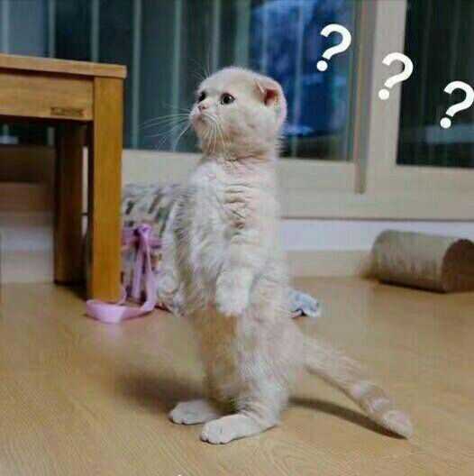 有哪些无字或者英文的表情包?