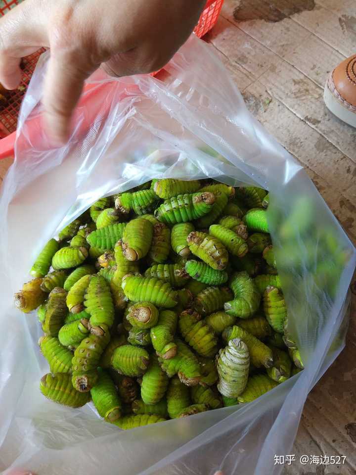 有什么长得难看却又很好吃的东西?