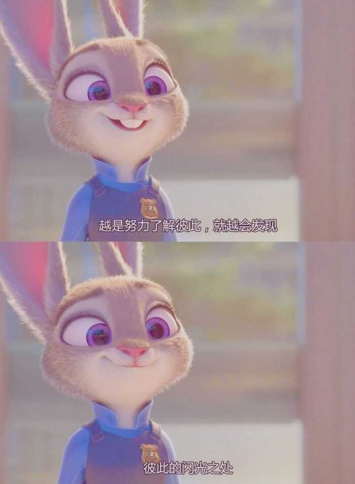 《疯狂动物城》
