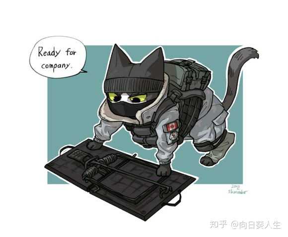 最后,放一些反映猫咪在陆军特种部队服役的影视作品,毕竟这种black op