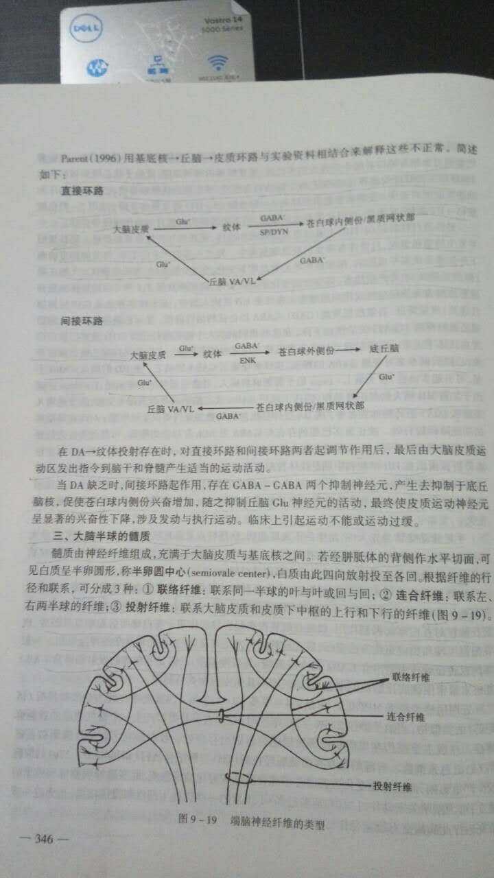 目前教科书对基底神经节几个主要核团之间的神经投射的描述是准确的吗