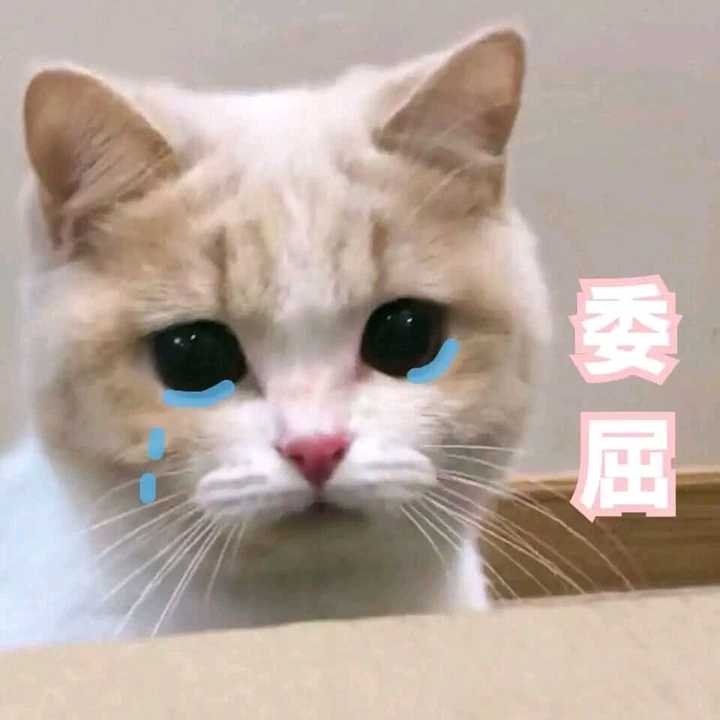 加油 链接是另一部分可爱表情包https://www