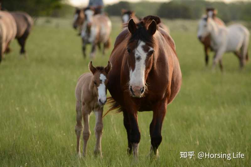 horsing life 的想法: 累了就要歇一歇啊,要不然身体