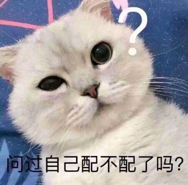 一只猫能可爱到什么程度?