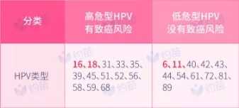 高危型与低危型hpv