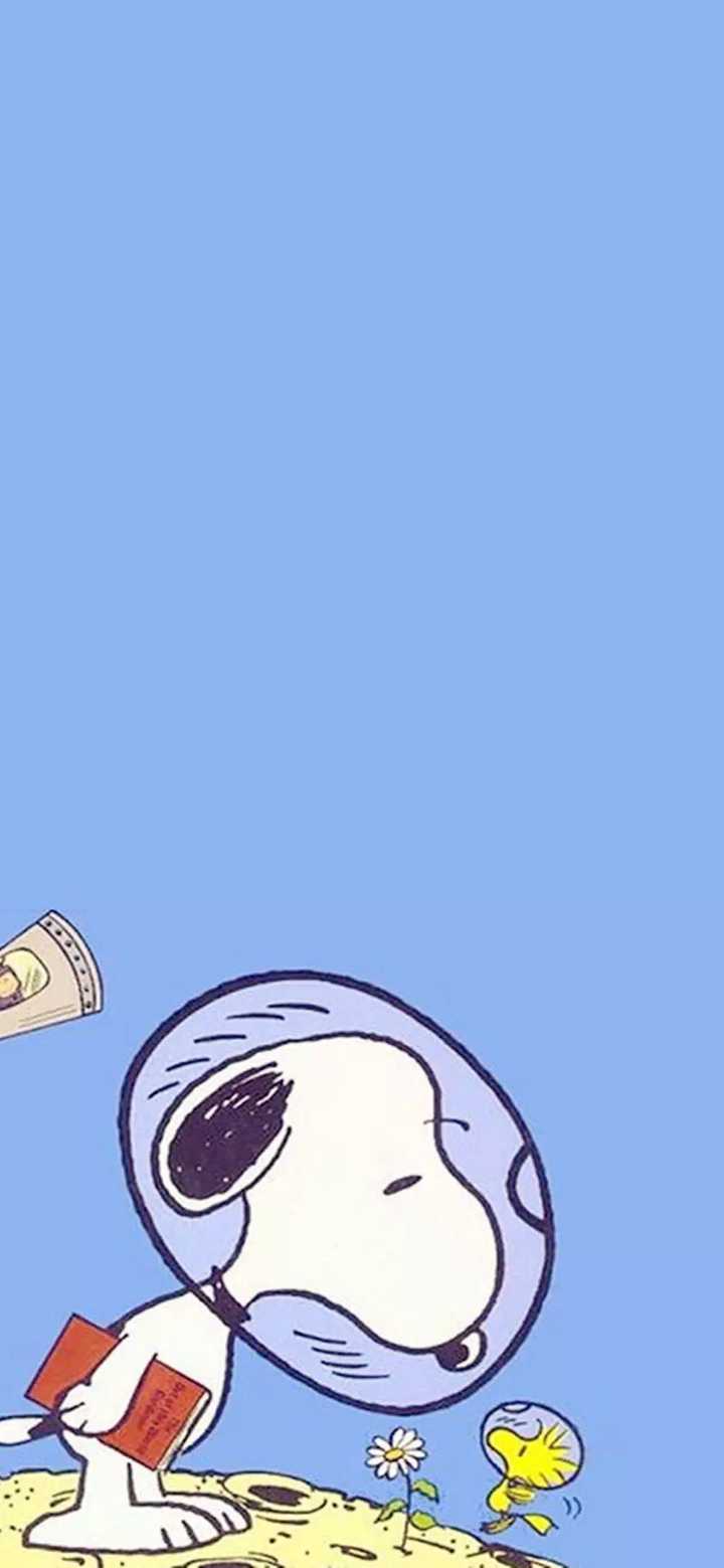 有没有关于史努比的手机全屏壁纸?