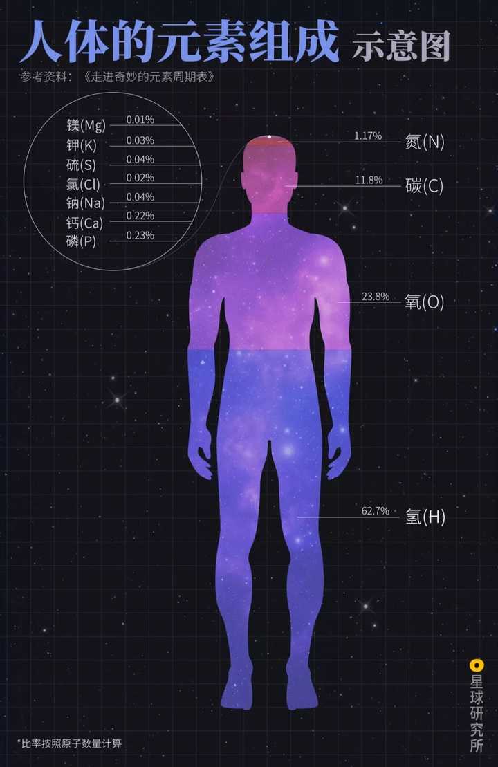 人体元素组成,比例按照各元素原子数量计算,制图@赵榜/星球研究所