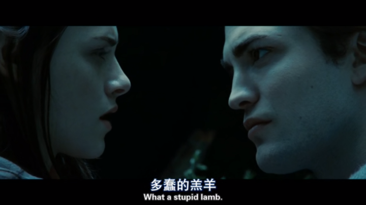 暮光之城经典语录?