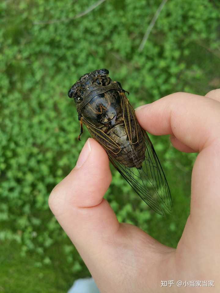 你手机里有没有随手一拍以为很丑但实际上很好看的照片?