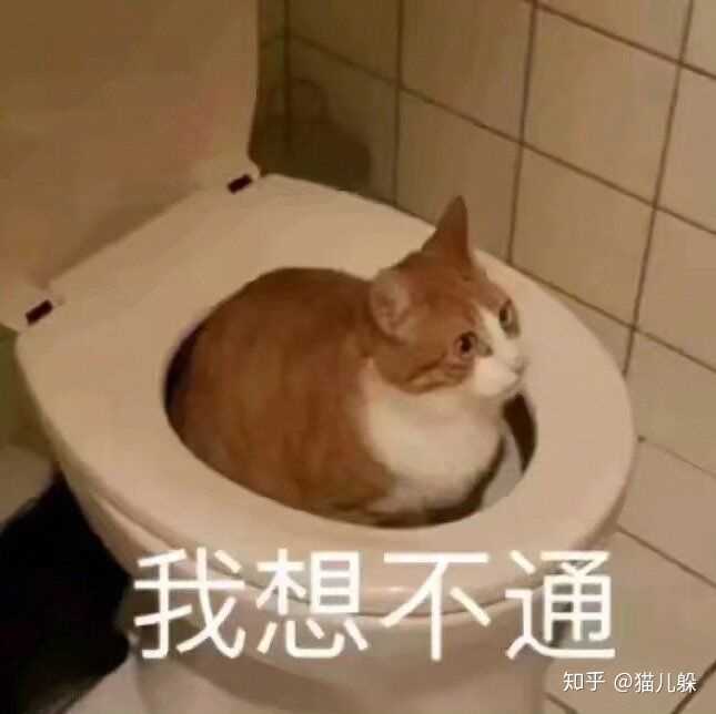 有没有什么搞笑的沙雕图片?