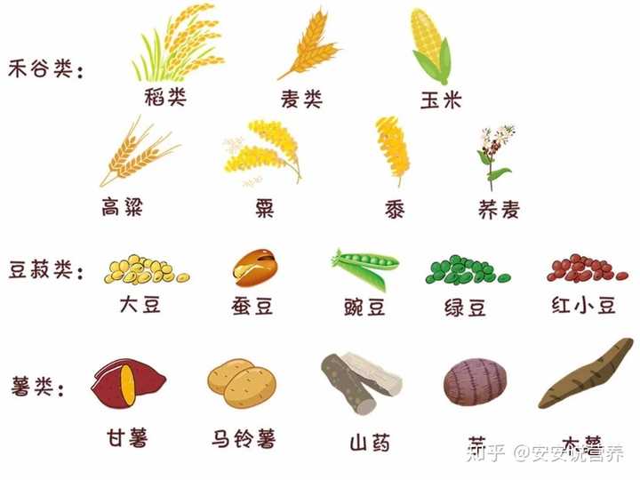 1.原则:谷类为主,全谷物和杂豆为重要组成,适当摄入薯类食物.