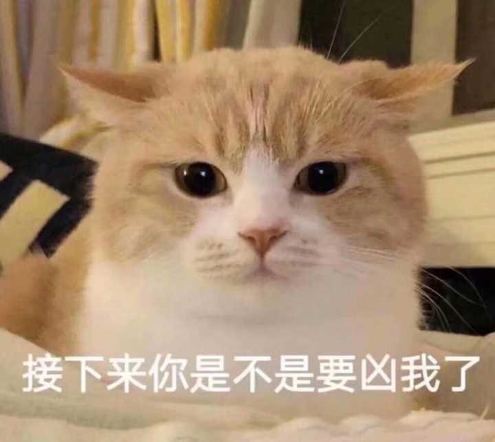 有没有什么生无可恋的表情包?