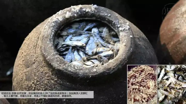 更早的起源可能是2000年前的汉代的鱼醢,也是鱼鲊(即糟鱼)腌制过程中