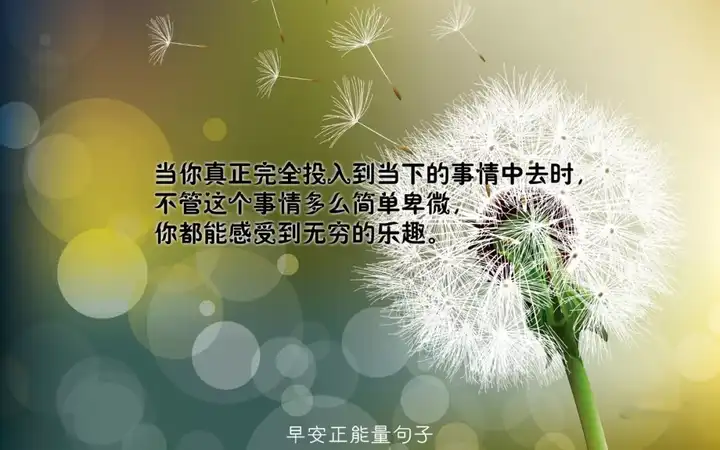 能不能发些正能量的句子给我?