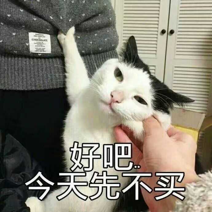 有哪些一见就笑得猫猫表情包?