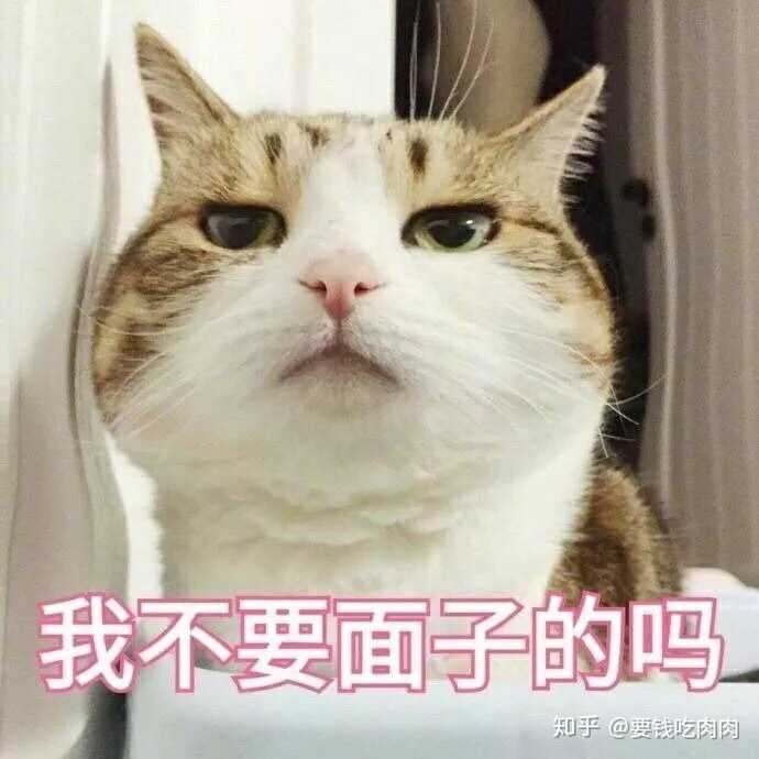 可不可以拿出你们可爱的表情包呀～ (真诚脸)?
