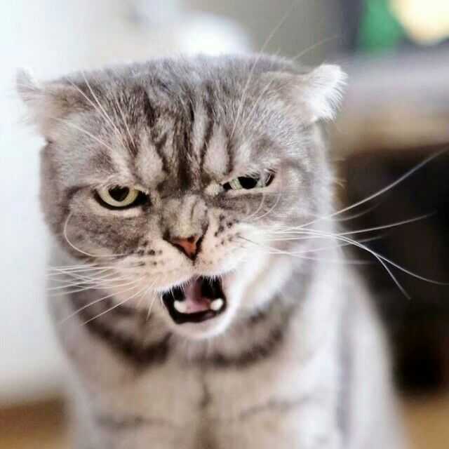 有什么低调不易看出的情侣头像?