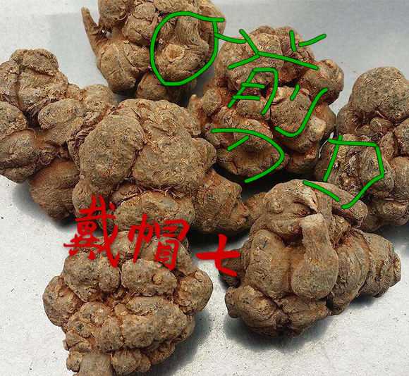 萝卜七就长得跟萝卜一样,短钉饱满的三七;七参是说,长长的三七跟人参
