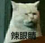 有哪些沙雕表情包?