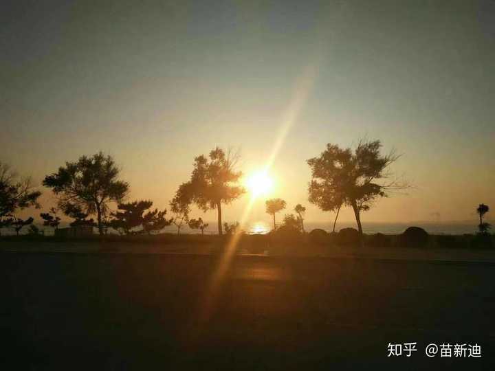 这是去海边,那天阳光很刺眼,一抬头就看到了很美的太阳
