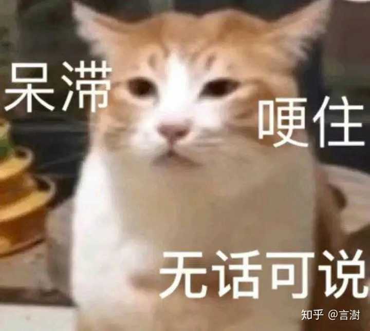 害,我能说啥呢.