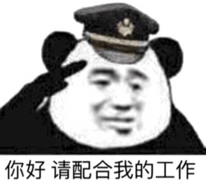 有没有一个万能表情包可以回复所有问题?