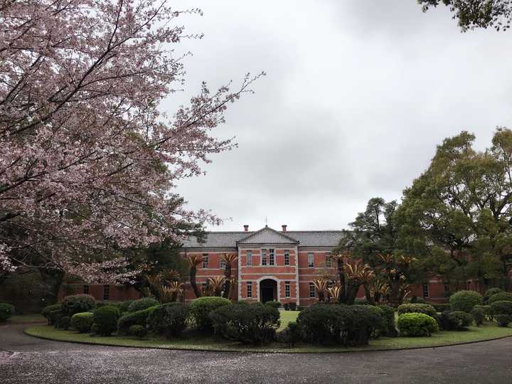 在熊本大学就读是怎样的一种体验?