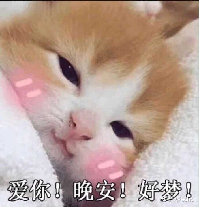 有哪些适合发给妈妈表达爱的表情包?