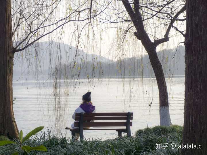 西湖,背影,夕阳,沉思