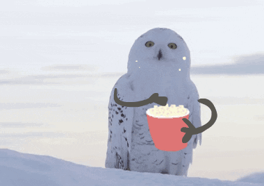 如何看待小马宝莉这张图