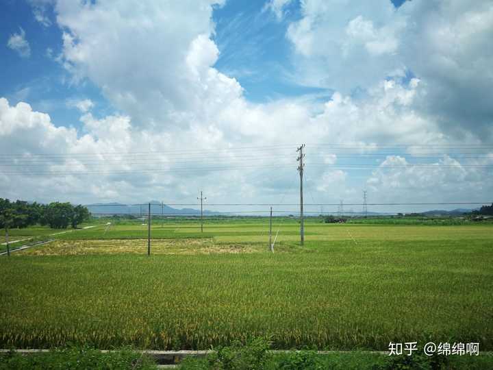你手机里有哪张照片最有夏天的感觉?